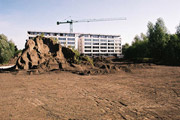 Groene Vallei