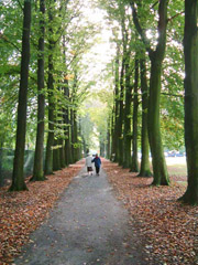 Herfst