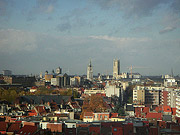 vanop het dak