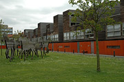 Het hof