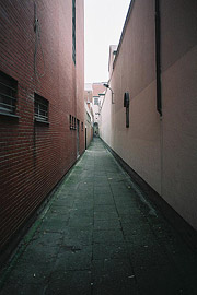 Bonteleeuwstraat