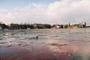 Rabotbeelden