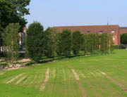 Groener