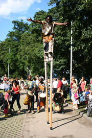 Hoog