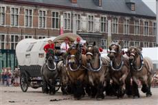 Trekpaardenfeest