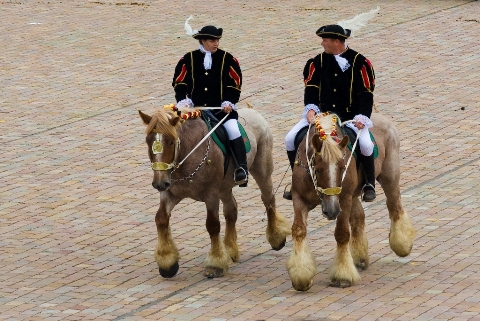 Trekpaardenfeest