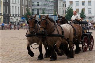 Trekpaardenfeest