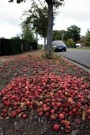Een appeltje voor de dorst