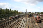 Spoor