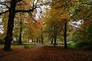 Herfst in de Groene Vallei