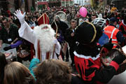 Grijsaard