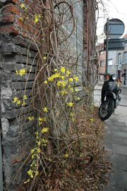 Lente in het land