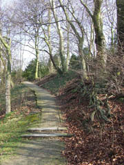 Koppenberg