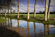 Reflectie