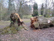 Geknakt