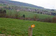 De dardennen