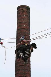 Hondenjob
