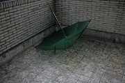 Abandoned umbrella