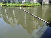 Zwemles aan het Gravensteen?