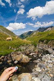 Gentblogt-groeten uit de PyreneeÃ«n