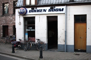 Dikke Boom
