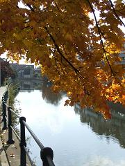 Herfstgoud