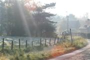 Ook dit is Gent