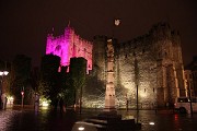 Magenta Gravensteen
