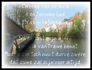 afÃ¨re van de muie