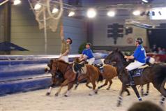 Flanders Horse Expo