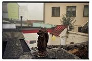 beeld zonder kop