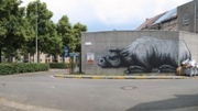 ROA