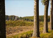 Sint-Baafs