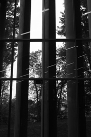 Reflectie