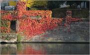 Herfstpalet