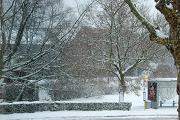 Witte “Lijn”