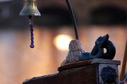 Meermin