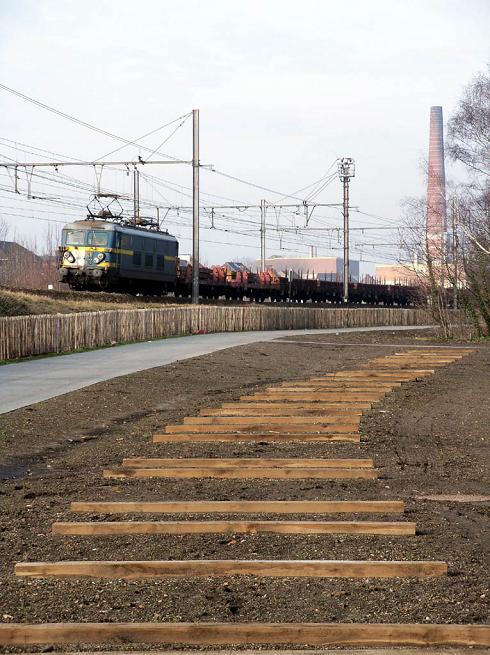 foto van de dag