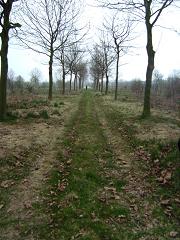 Toekomst Parkbos?