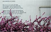 Geluk