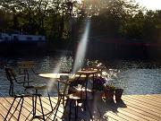 In de spotlights