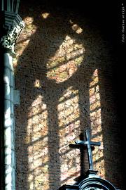 Licht
