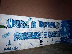 once a buffalo