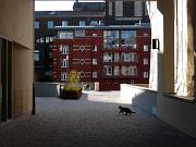 Tom Poes op stap…