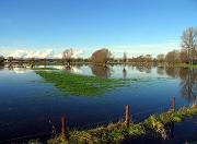 Waterwereld