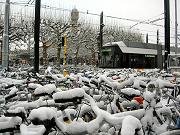 Snow or never