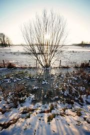 Winterzon