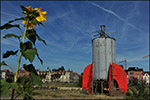 Professor Zonnebloem in Gent