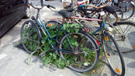 Groene fiets