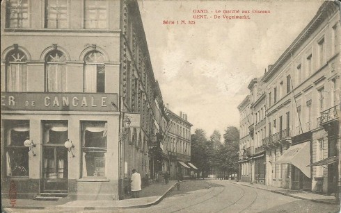 Serie 1 nr. 325 De Vogelmarkt